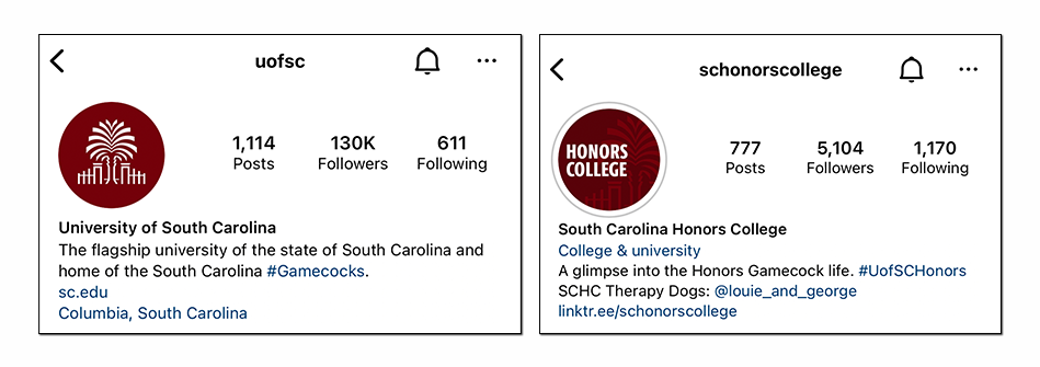 An example of two Instagram bios. Both include logos for their accounts for the profile picture.