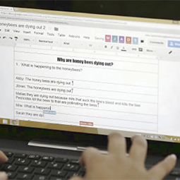 Grading and Testing Online Grading and Testing Online