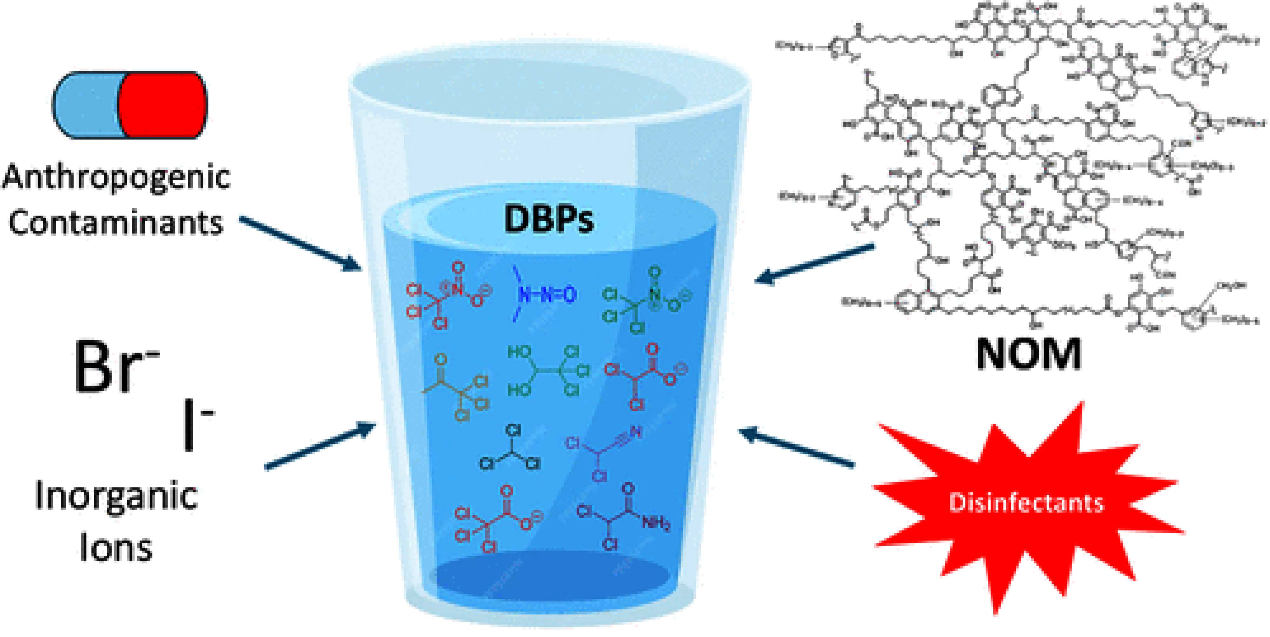 Environ. Sci. Technol