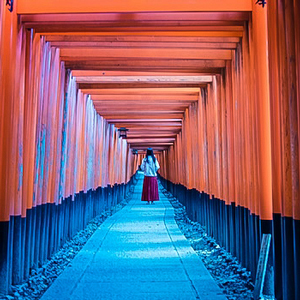 Person walking in the Fushimi Inari Shrine