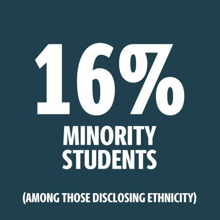 Minority Students (16%)